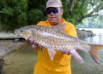 Trip Jenggo Hunter