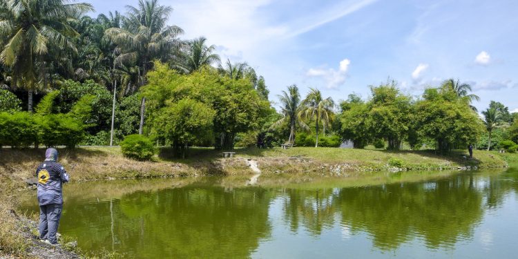 Pelbagai Spesies Ikan Dengan Gewang