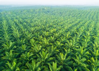 Making Malaysian agriculture truly sustainable