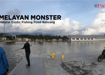 MELAYAN MONSTER NATURAL EXOTIC POND BEHRANG