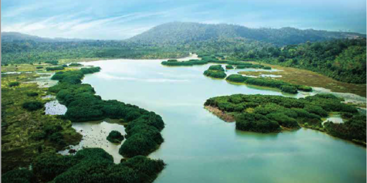 Expand Chini Forest Reserve