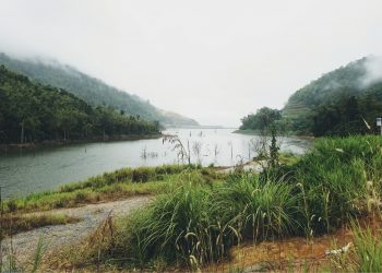 Do we need more dams?