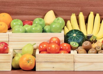 Nurturing a healthy generation