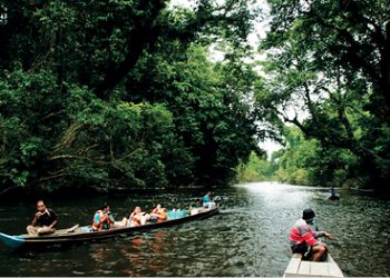Taman Negara biodiversity challenge