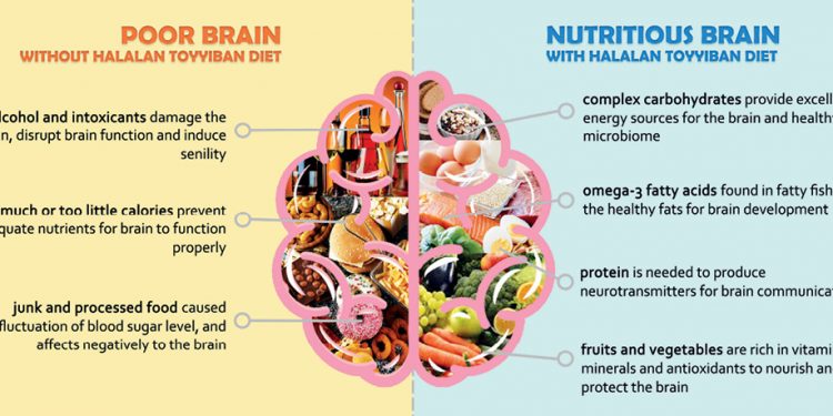 How halalan toyyiban diet affects the brain