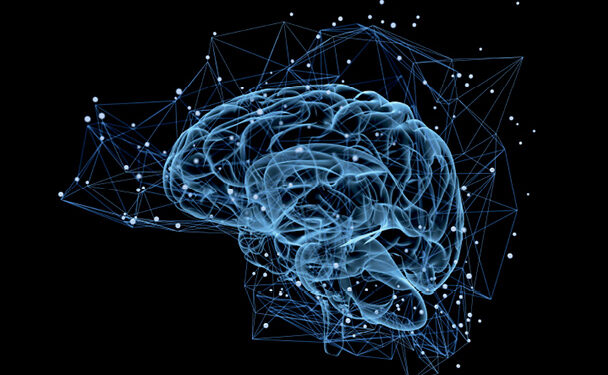 Know your brain