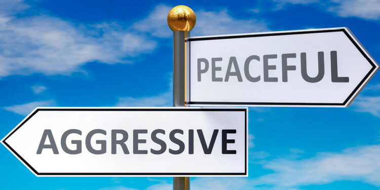 When a child becomes aggressive