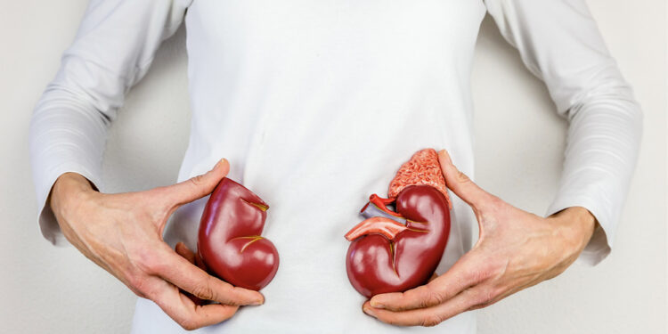 Kidney transplant the viable option