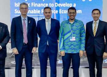 Developing a sustainable finance ecosystem