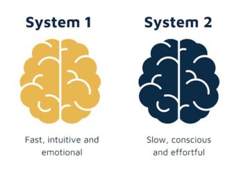 Understanding the brain’s systems