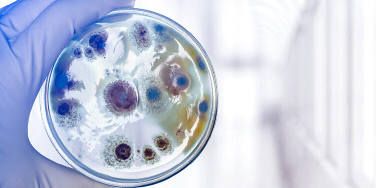 Precision medicine: Data is the new gold